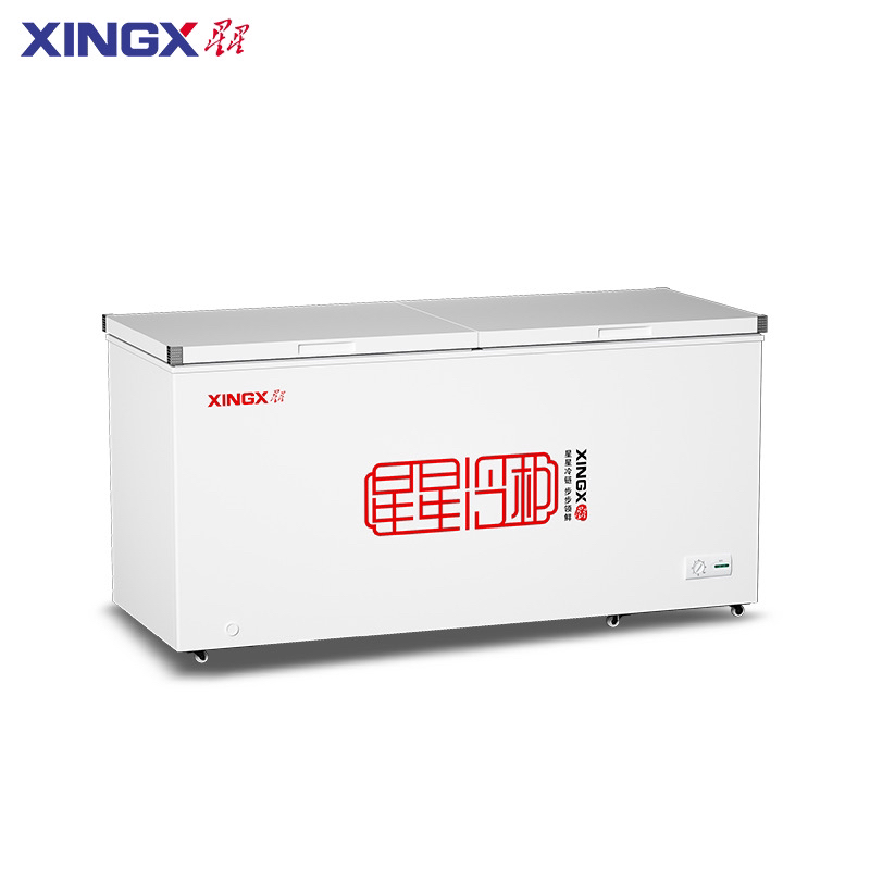 星星大容量商用冰柜BD/BC–701A