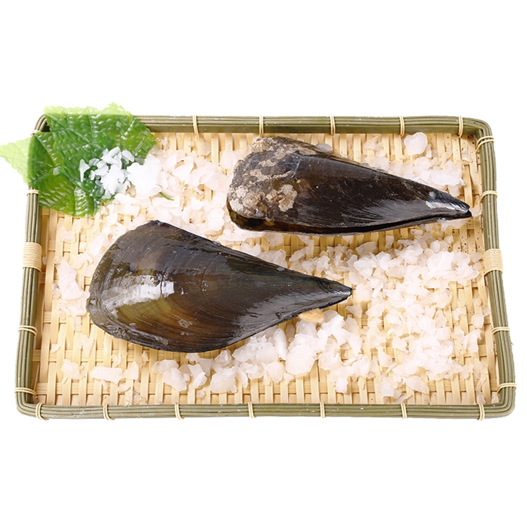 鲜活大带子 1只(200-250g/只)