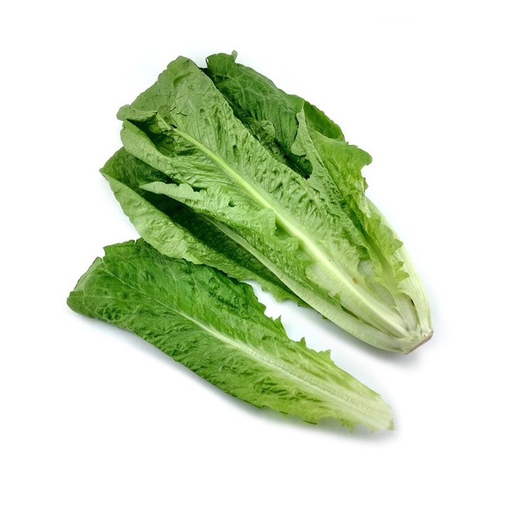 罗马生菜 300g/份