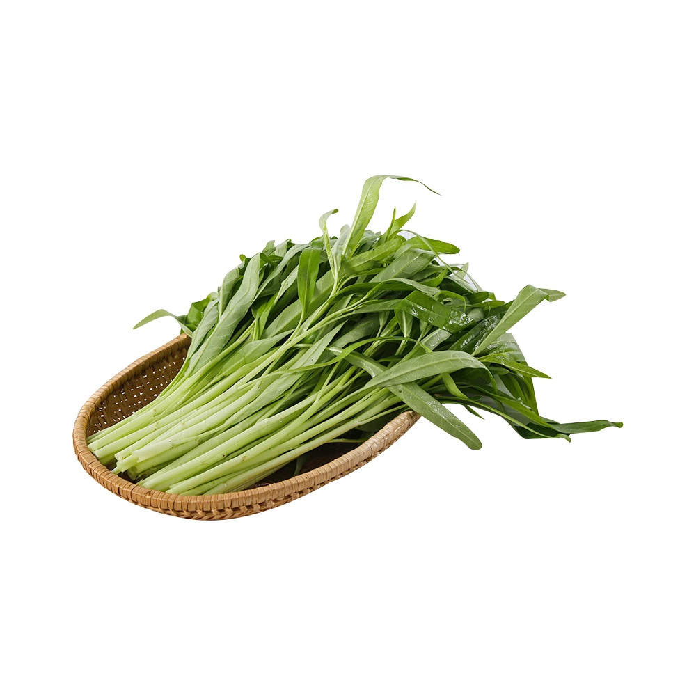 盒马日日鲜 白杆空心菜 300g