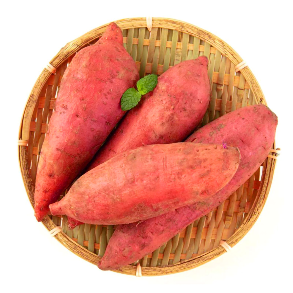 有机一分甘红薯 500g