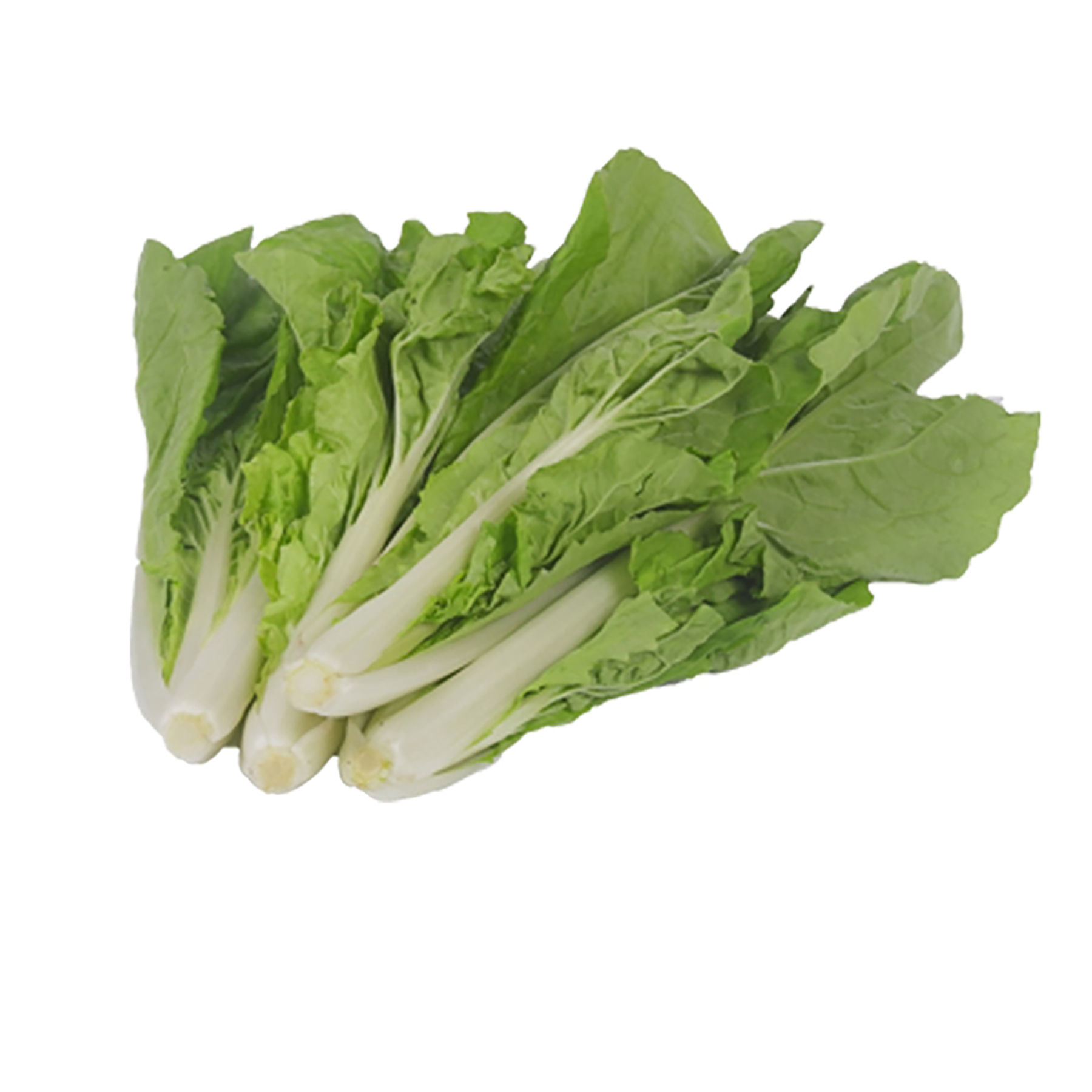 盒马日日鲜 杭白菜 300g