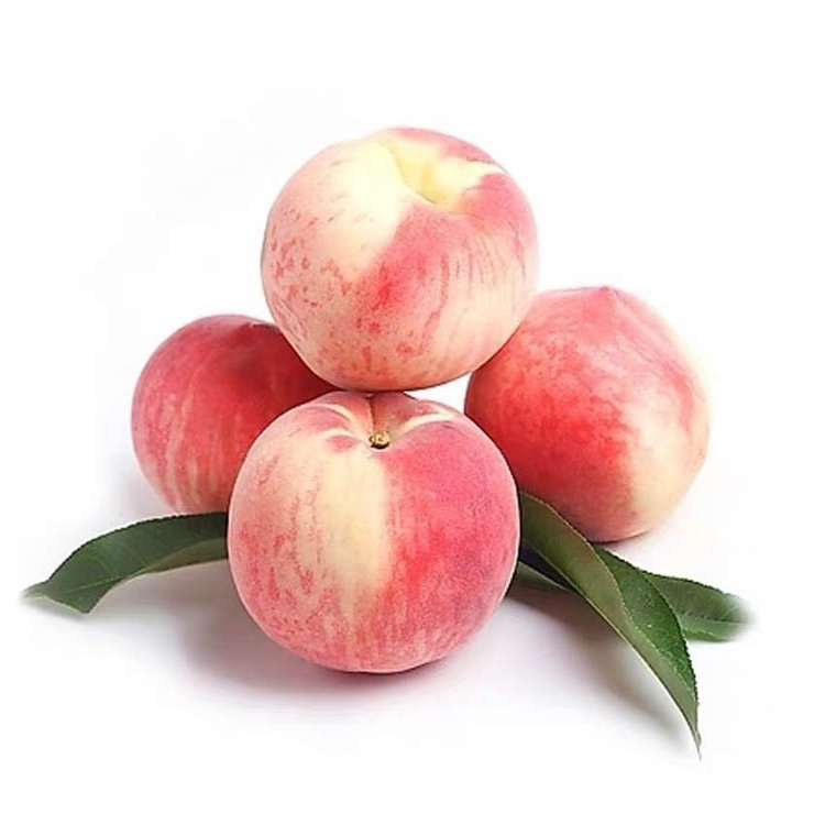 突围桃6个装 1kg