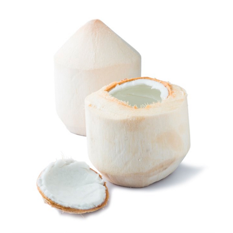 泰国椰青1个装(单果900g)