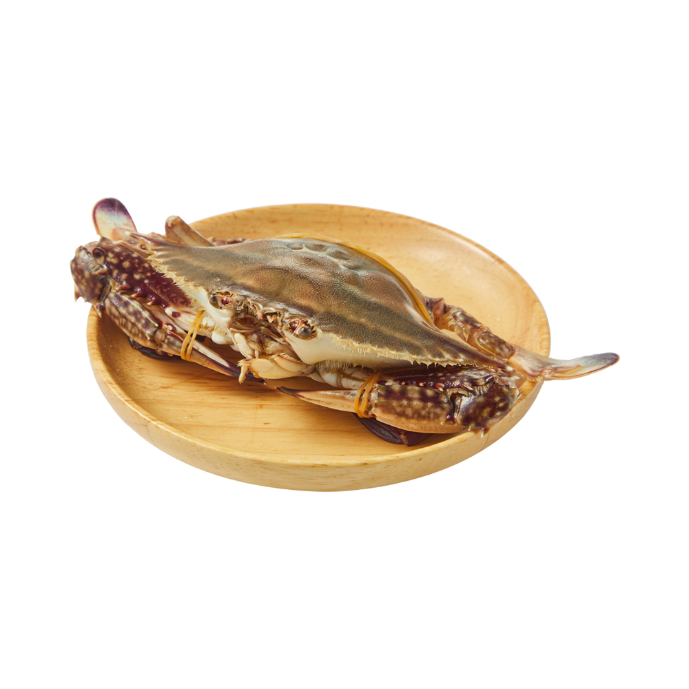 【产地暂养】鲜活 红膏梭子蟹150-200g/只