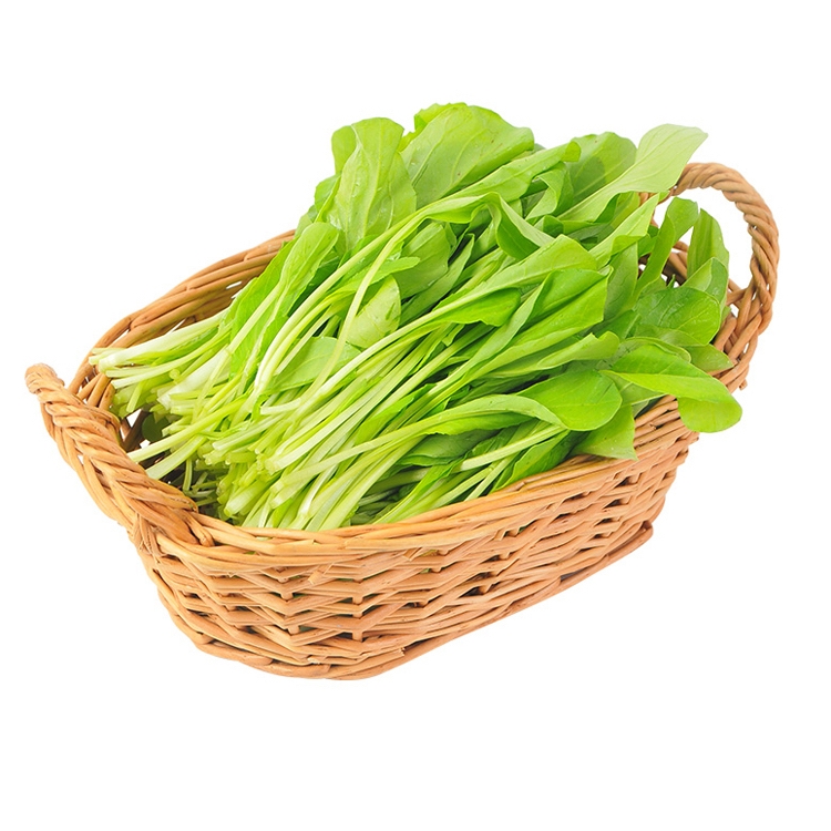 盒马日日鲜 鸡毛菜 250g