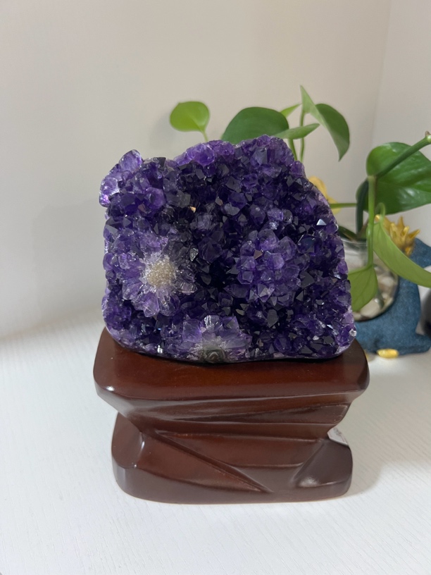 乌拉圭富贵花球屏风稀罕摆件