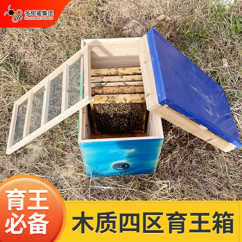 四区四门蜜蜂育王箱蜂王交尾箱小型新型交尾蜂箱木质塑料防虫无味
