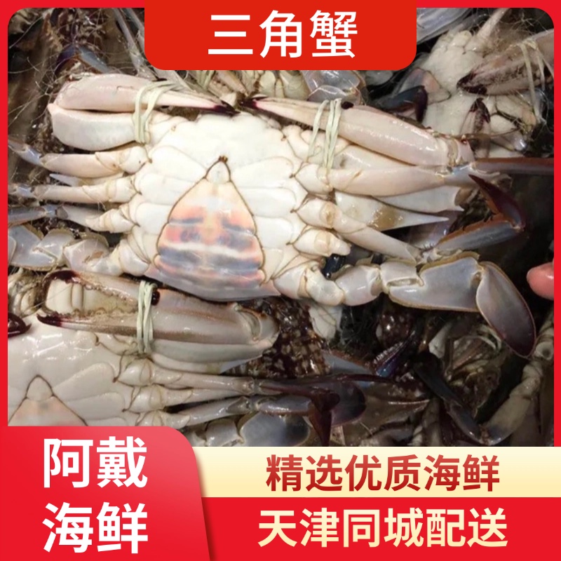 【保鲜不保活】天津三角蟹 没硬黄（每斤4只单只2两）当日达 断氧残蟹