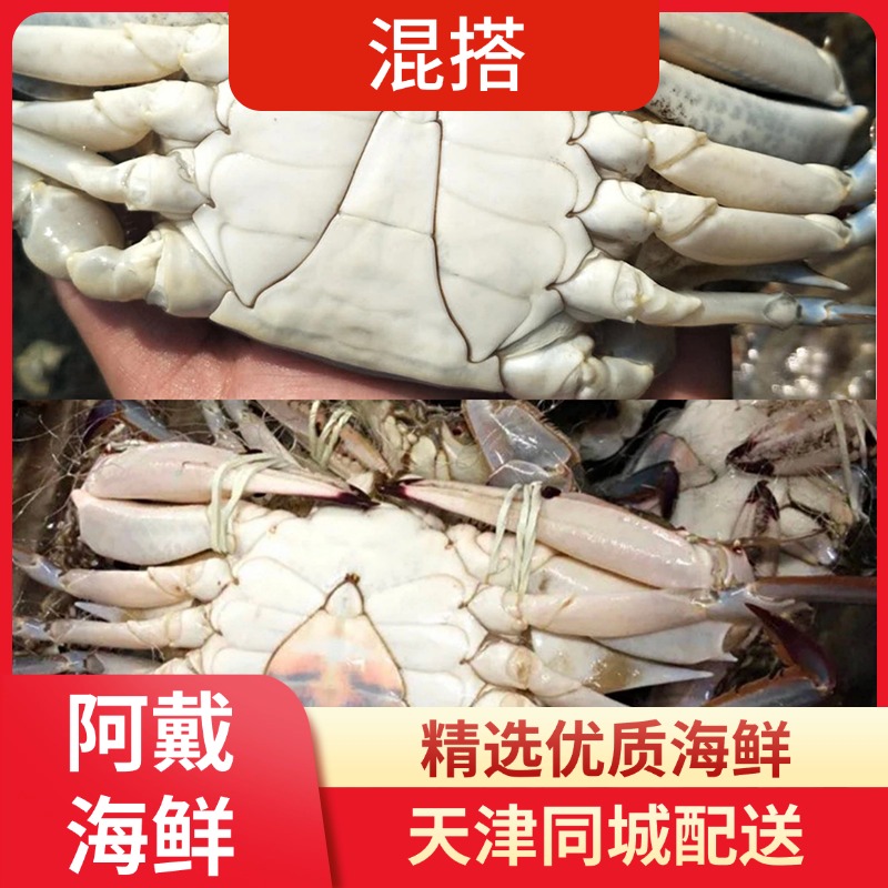 【保鲜不保活】公蟹+三角蟹混搭（每斤4-5只单只2两）掉爪当日达