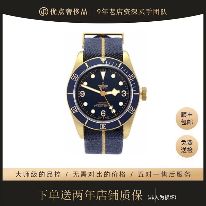 95新 TUDOR/帝舵 碧湾系列/79250BB-0001/43表径/青铜/23年宝齐莱