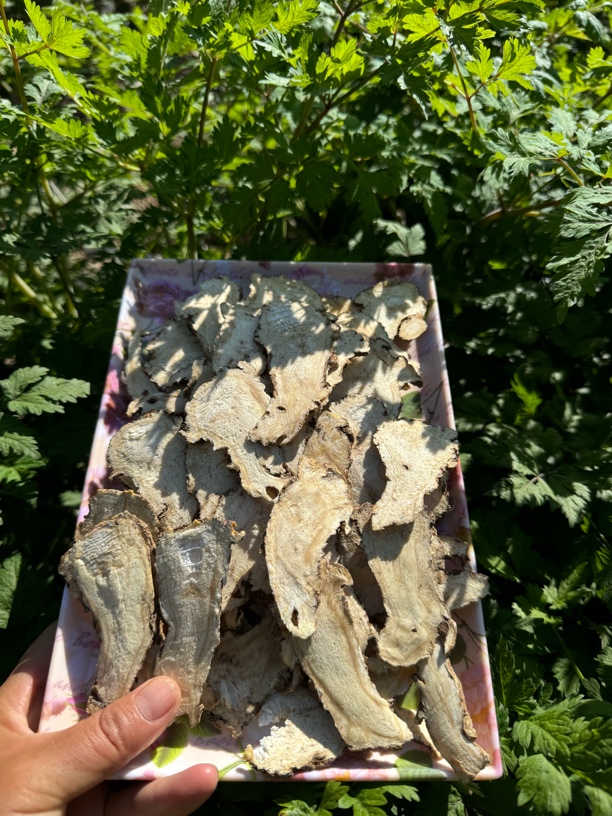 岷县精选当归头片（大片）