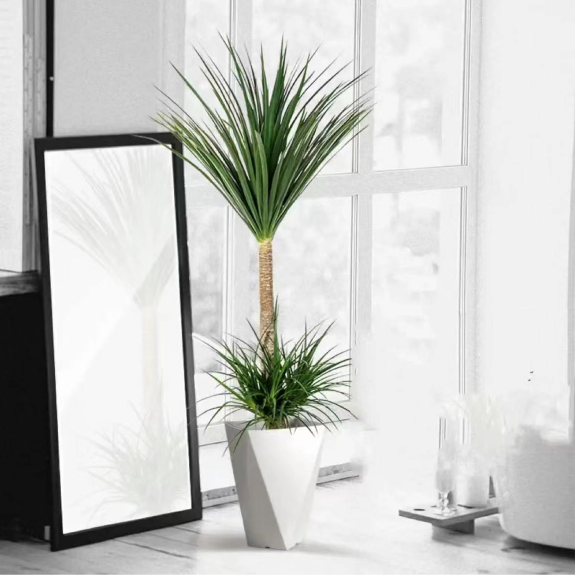 龙血树双层多头大型绿植室内客厅懒人植物