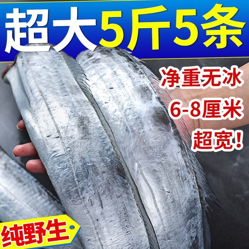 【活动】正宗国产带鱼新鲜整条特大带鱼整箱批发野生刀鱼带鱼450g