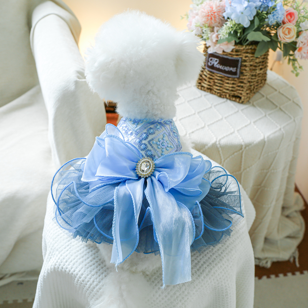 宠物狗狗衣服比熊博美泰迪春秋蓝色星河婚纱礼服公主裙