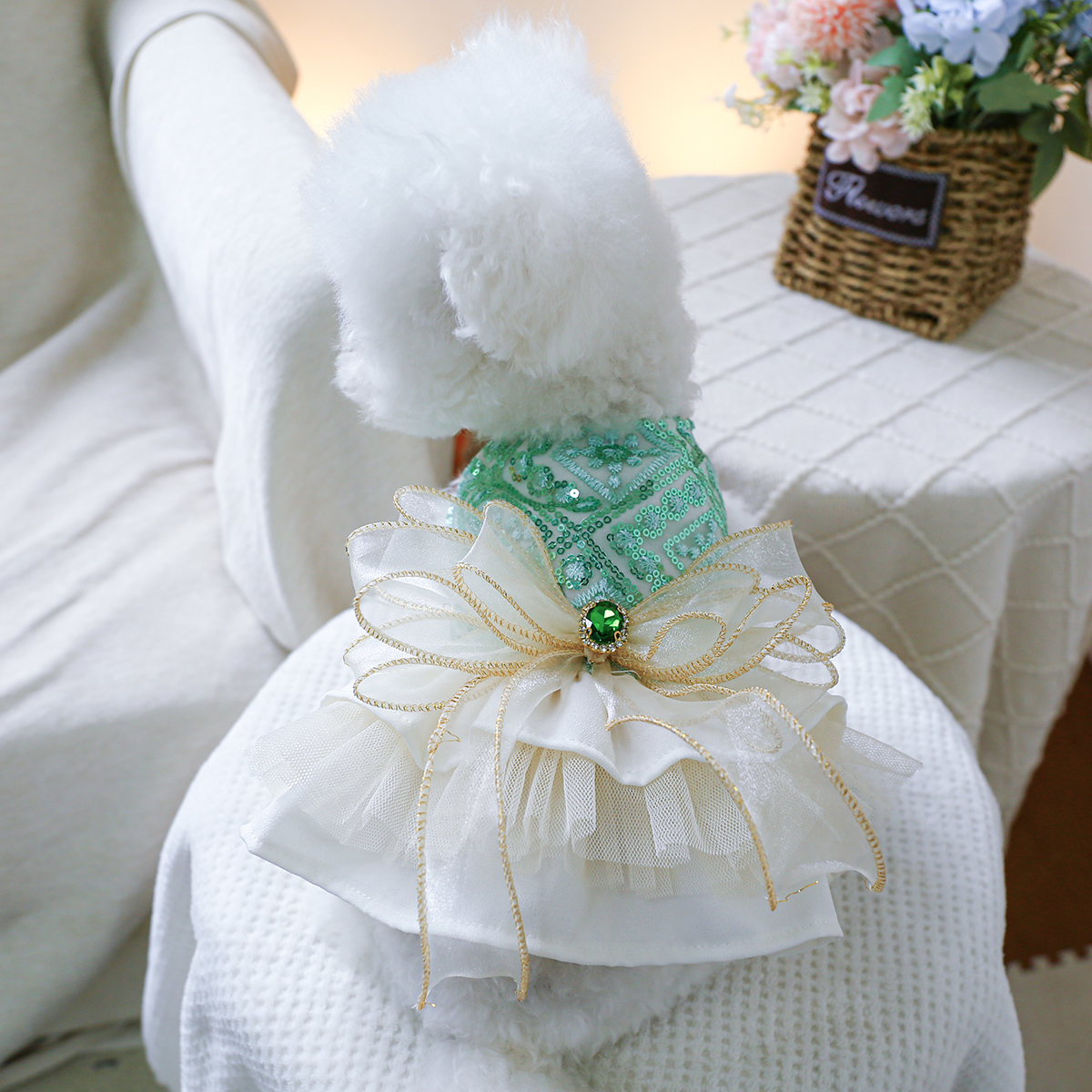 宠物狗狗衣服比熊博美泰迪春秋绿宝石婚纱礼服公主裙