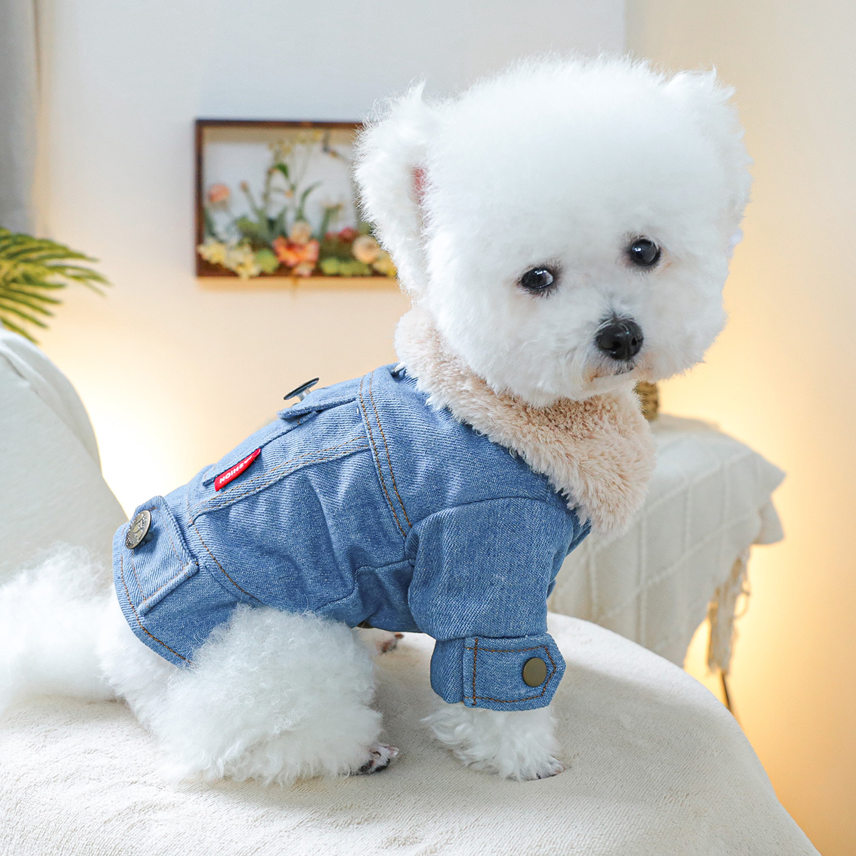 宠物狗狗衣服比熊博美泰迪加绒加厚口袋牛仔棉衣