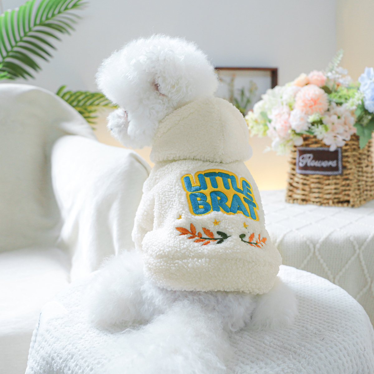 宠物狗狗衣服比熊博美泰迪秋冬加厚保暖小伙计卫衣