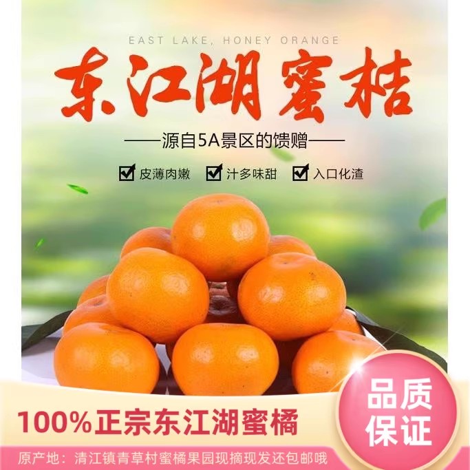 正宗东江湖蜜桔 精品中果 皮薄无籽 味甜多汁 入口化渣 京东包邮
