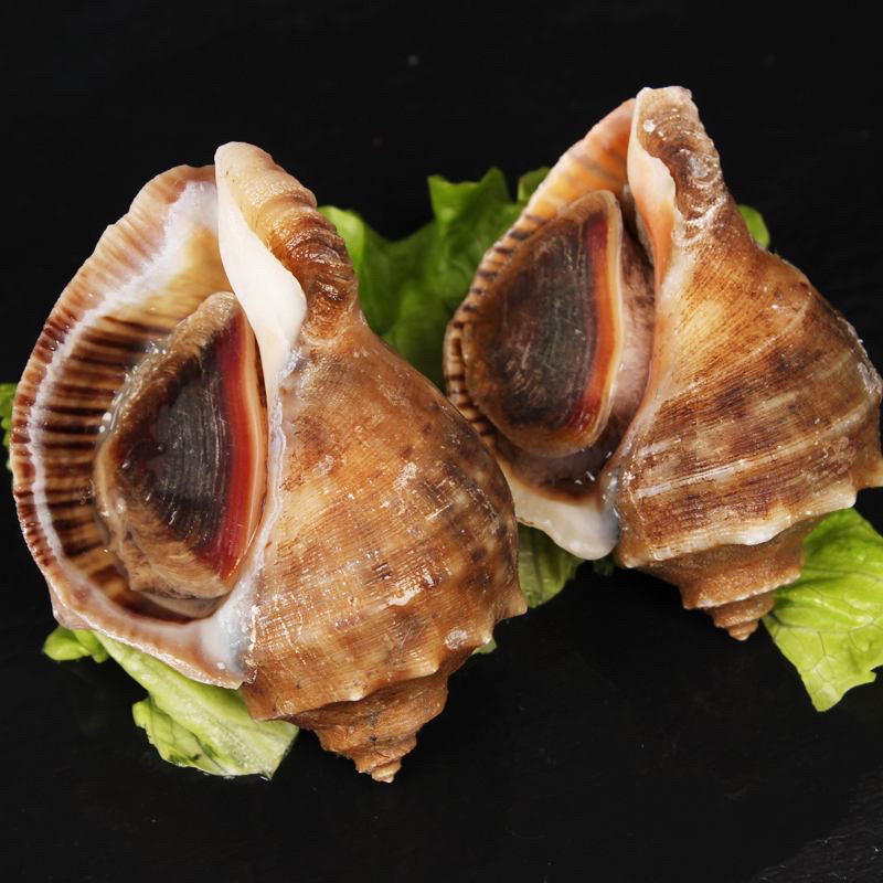 鲜活 海螺500g（中个大个任选）
