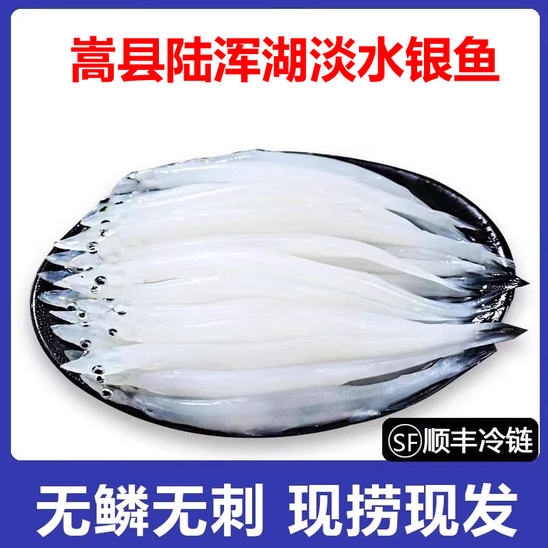陆浑湖银鱼新鲜淡水500g银鱼鲜活速冻银鱼淡水银鱼宝宝