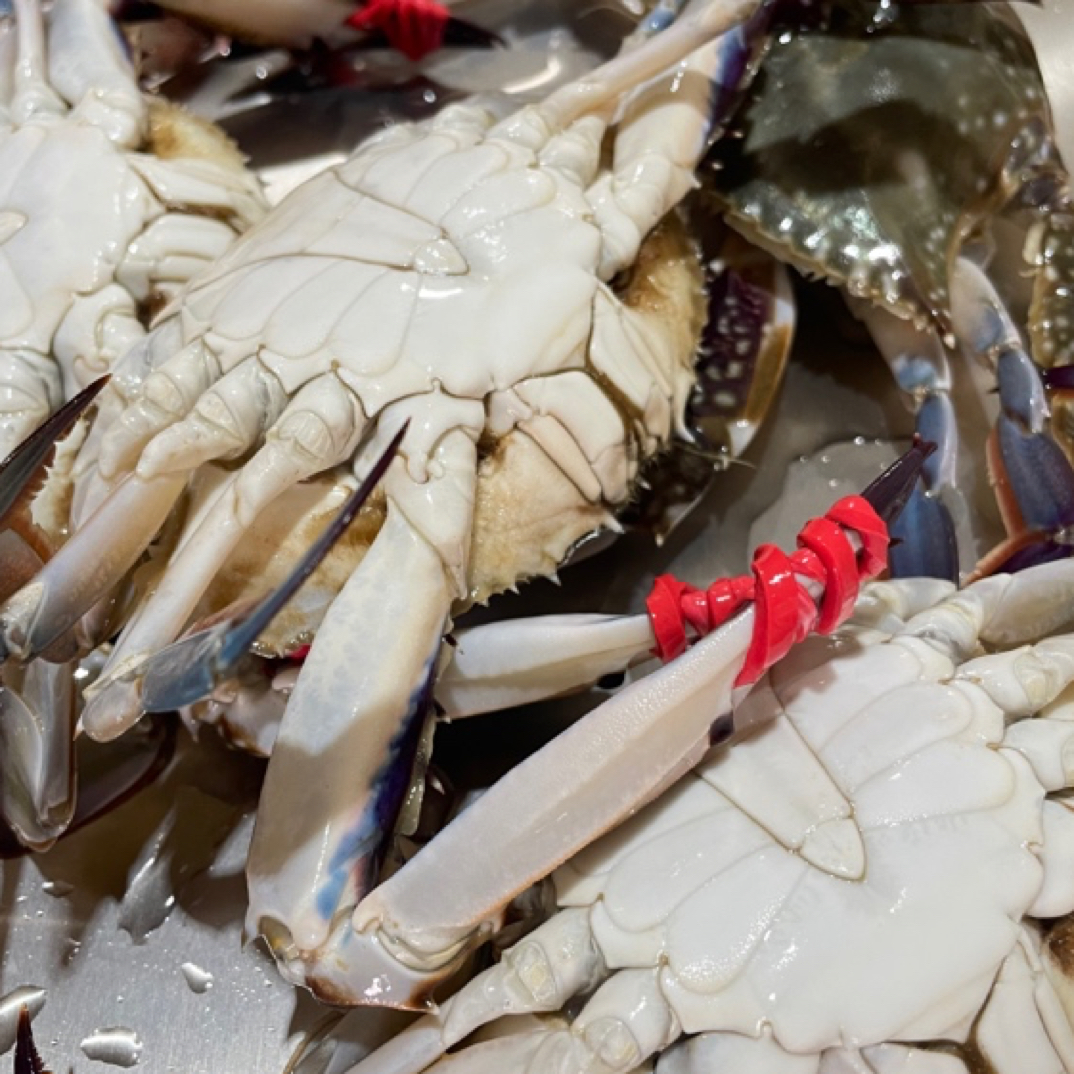 【中公蟹】吃肉中公蟹【保鲜不保活】（3斤9只左右两（规格）