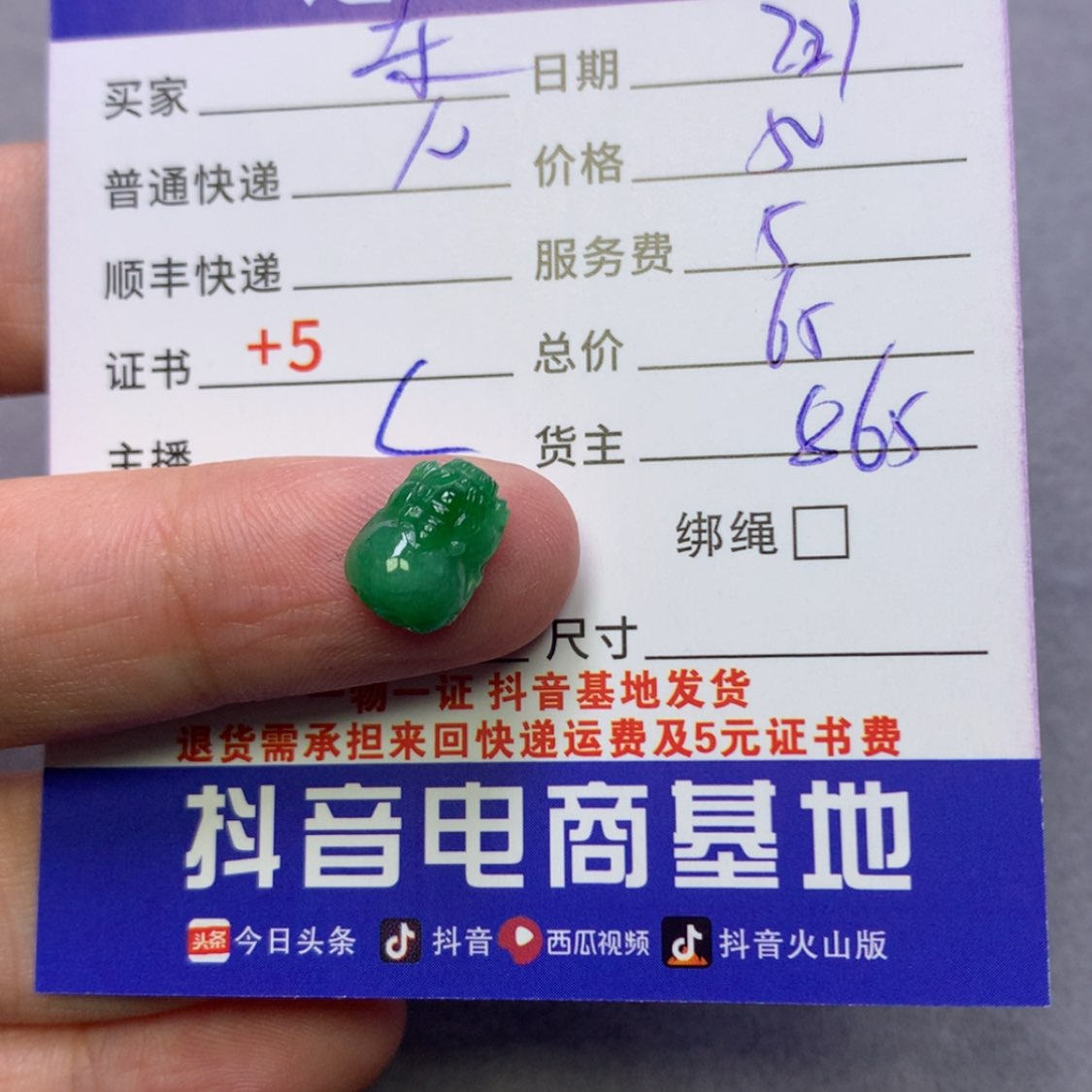 【闪购商品】翡翠颈饰未镶嵌东**败