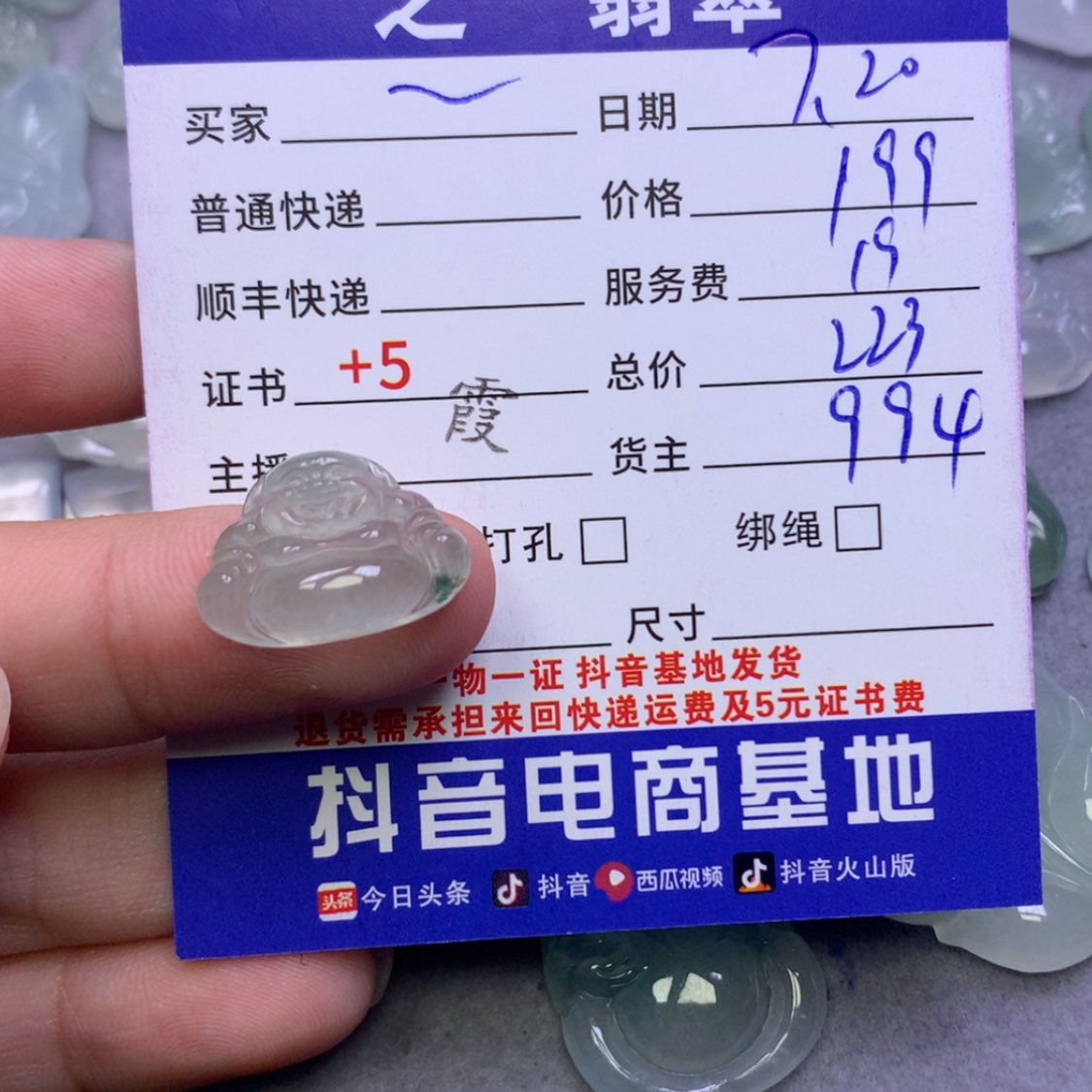 【闪购商品】翡翠颈饰未镶嵌?****翡翠