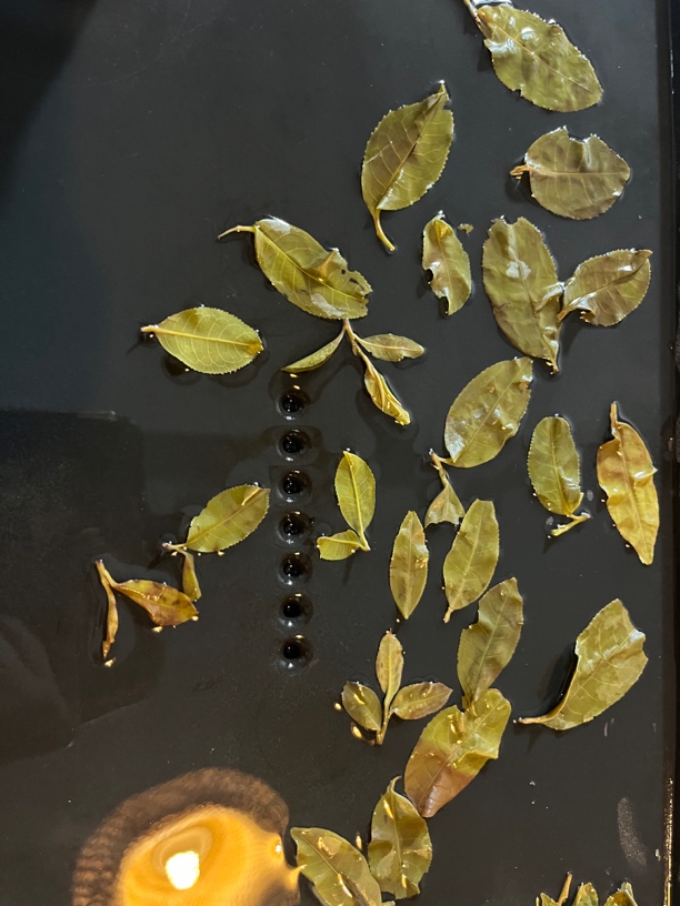 2025年昔归100克散