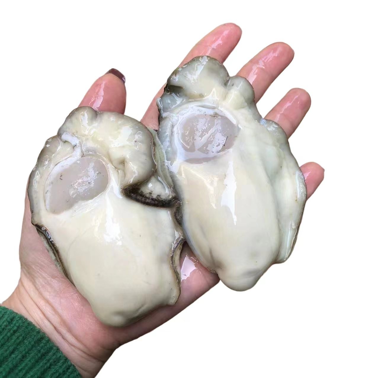 《蚝门》特大脆蚝鲜活现剝顺丰一斤装生蚝肉鲜发需清洗《原液发货》