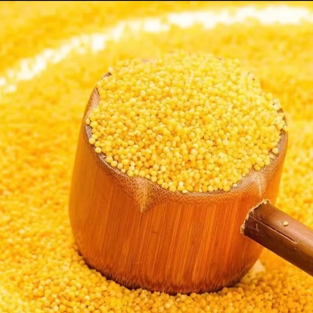 东北榆树农家新小米3斤5斤包邮新米粗粮