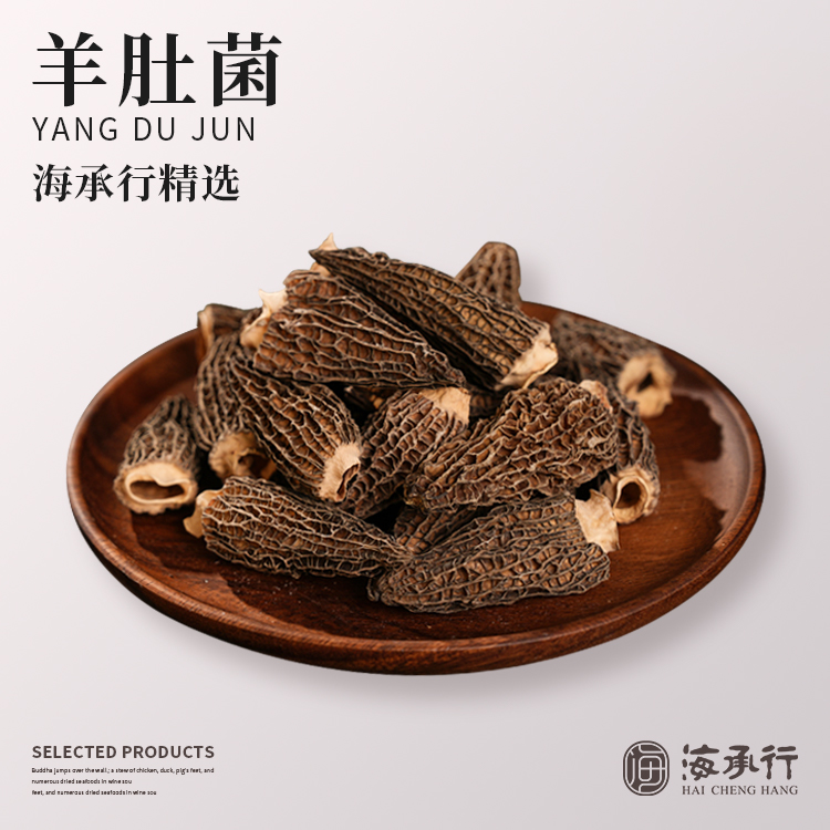 【海承行】 羊肚菌