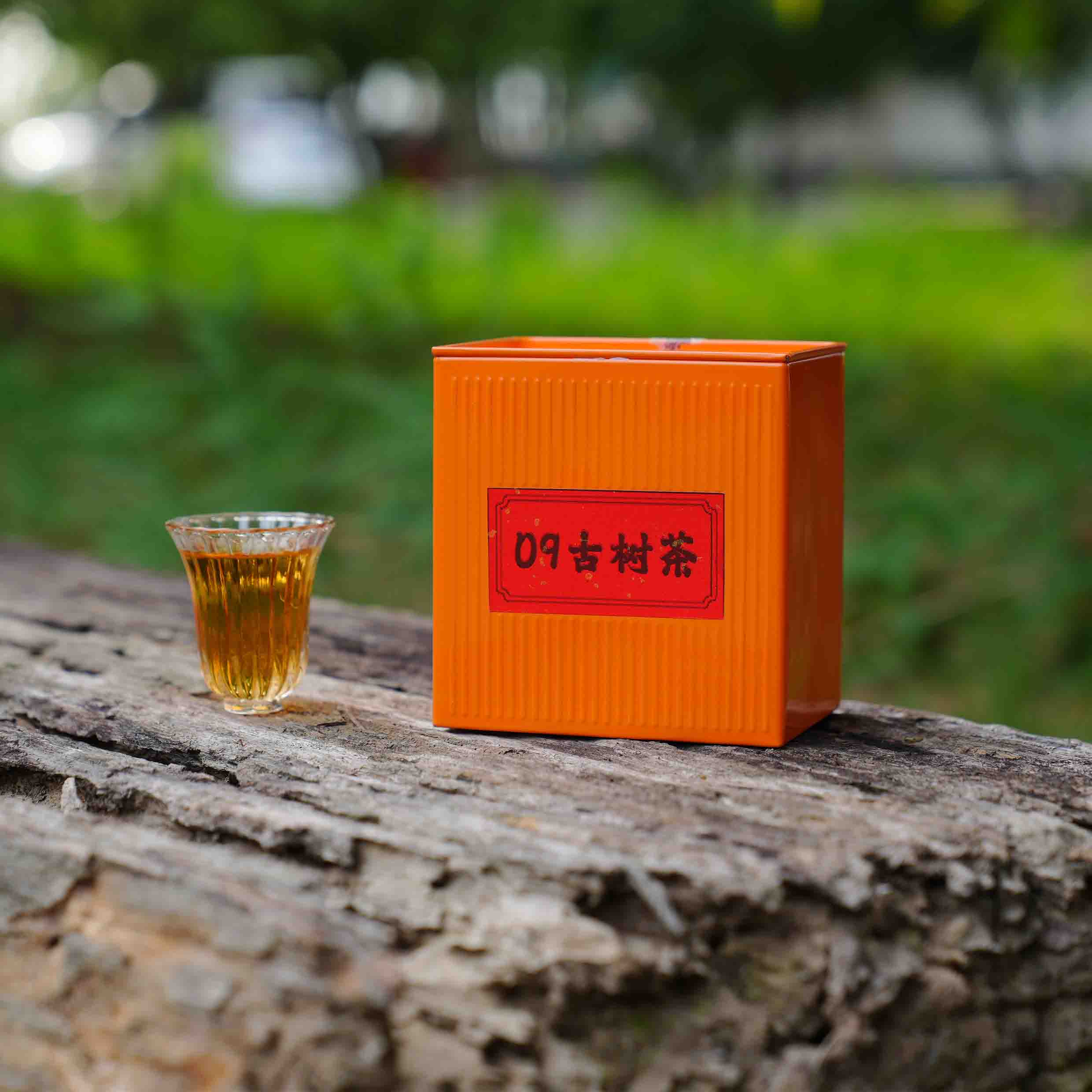 一壶楼09古树茶1罐*120g 普洱生茶 云南大叶种晒青毛茶