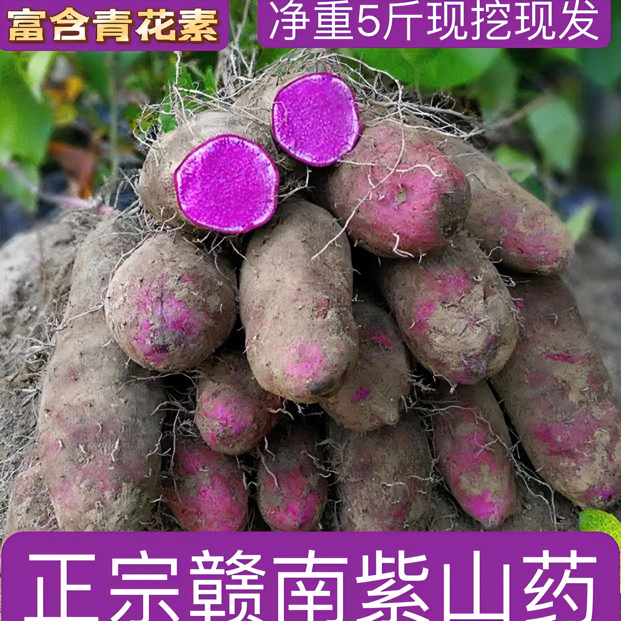 赣南农家自种新鲜紫山药脚板薯紫色板栗薯滋补蔬菜
