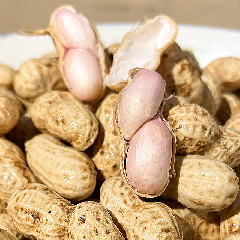 3斤新鲜当年摘花生东北包邮自家种植薄皮仁大颗颗饱满无土超实惠