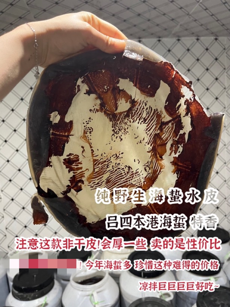 【渔晶晶海鲜】吕四鱼港纯野生海蜇水皮 非干皮 口感鲜脆10斤 