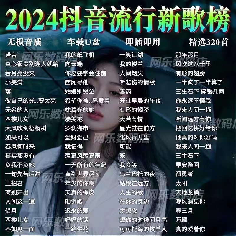 2024网络流行歌曲车载u盘抖音最新款网红伤感情歌无损高音质u盘
