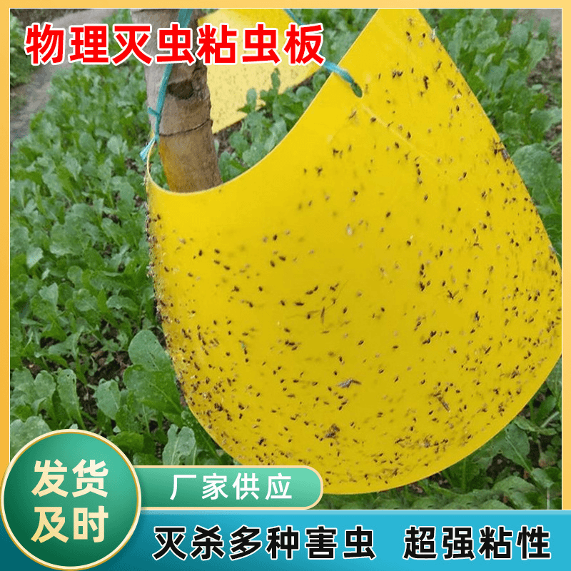农用粘虫板大号双面灭杀防飞虫园艺通用防虫板诱蝇耐用防水黄板