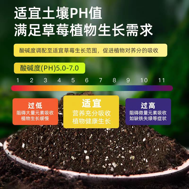 种草莓专用土营养土阳台草莓肥料专用肥盆栽草莓苗土壤泥土种植土