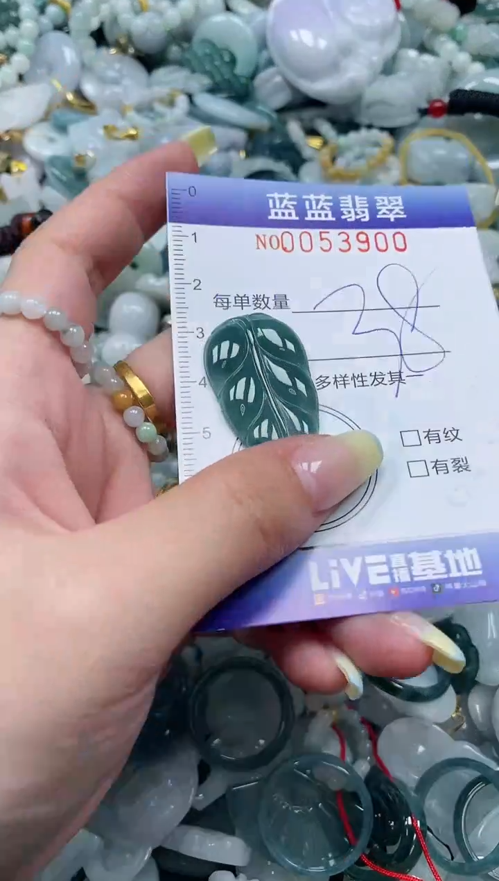 【闪购商品】翡翠颈饰未镶嵌闪购0053900