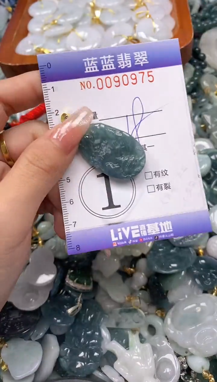 【闪购商品】翡翠颈饰未镶嵌闪购0090975