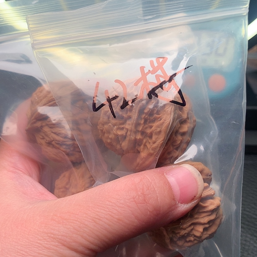 【闪购商品】柏香籽/百香籽吊坠楼