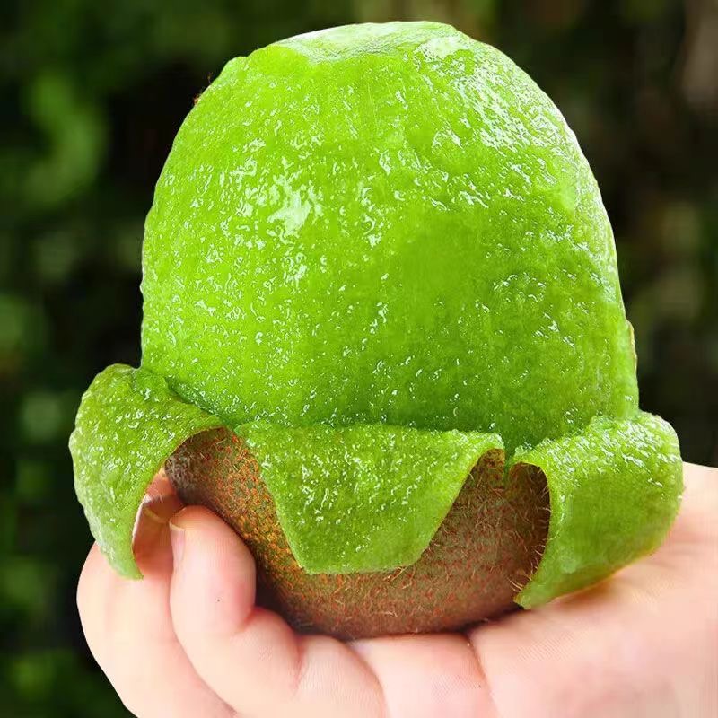 【放软食用】奇异果绿心猕猴桃12个当季水果多汁香甜皮薄果香鲜n