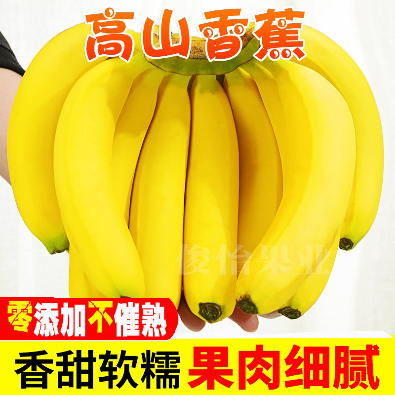 产地直发广西高山甜香蕉批发非西贡苹果蕉应季新鲜水果2/5/9斤