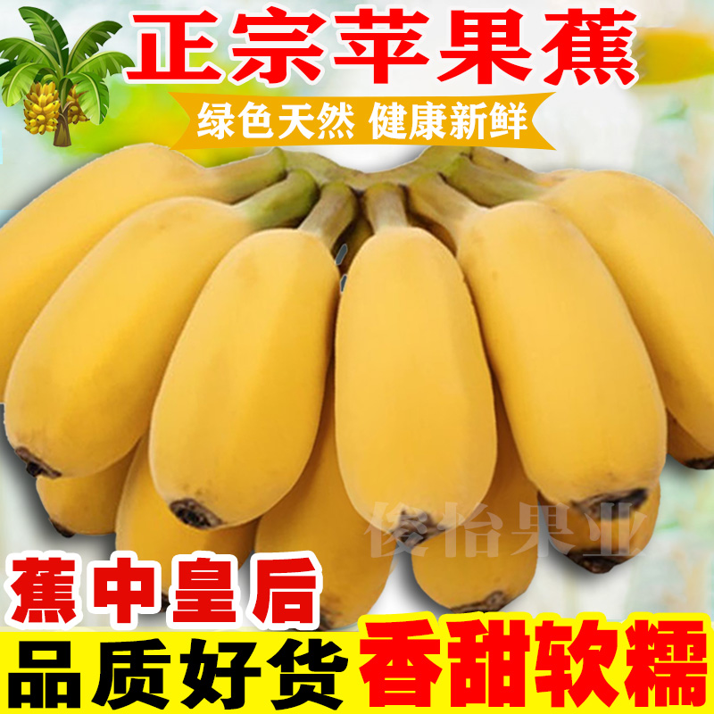 广西正宗苹果蕉甜9斤5斤产地直发农家当季新鲜水果甜香蕉粉蕉俊怡