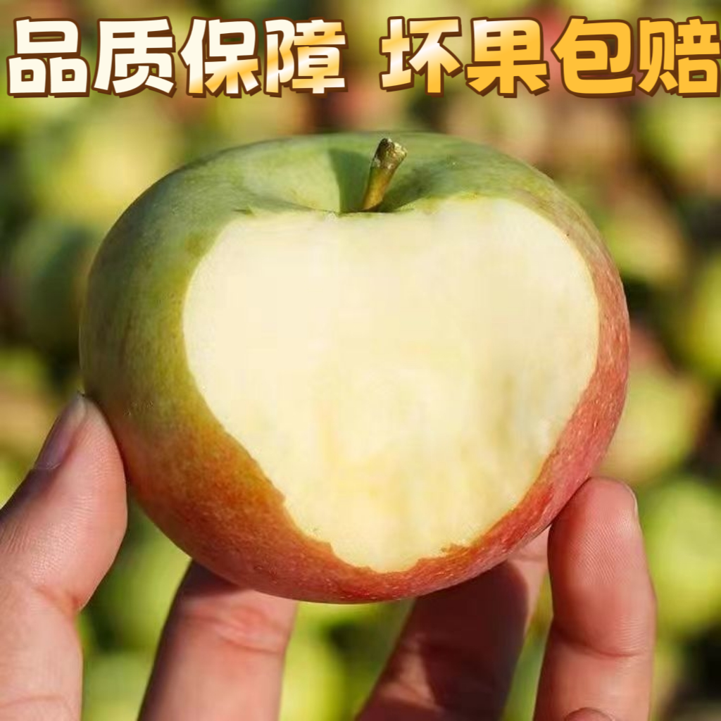 特大5斤12个正宗东北小国光苹果酸甜新鲜果光瓦房店苹果小国光5斤