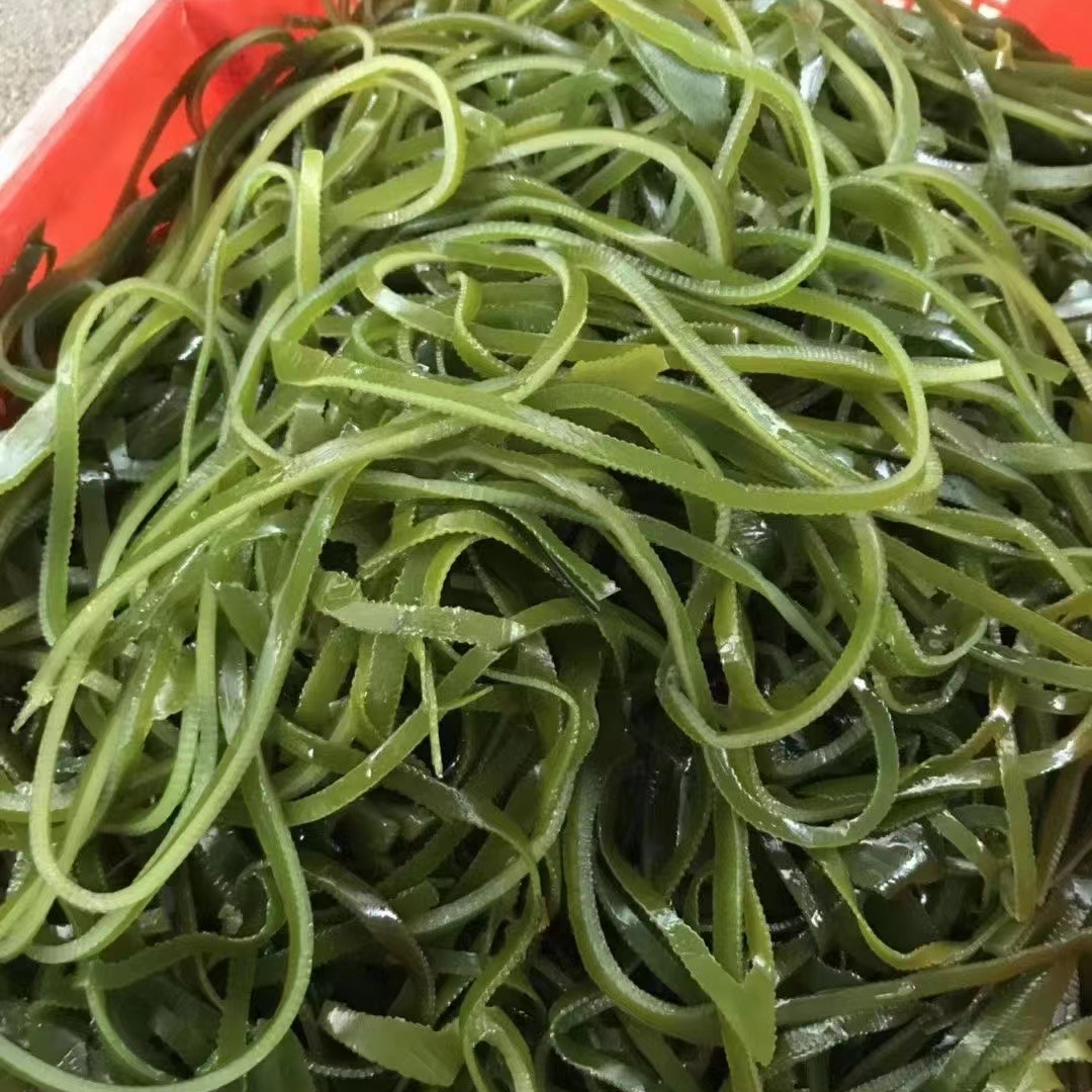 无沙免洗干海带丝凉拌煮汤