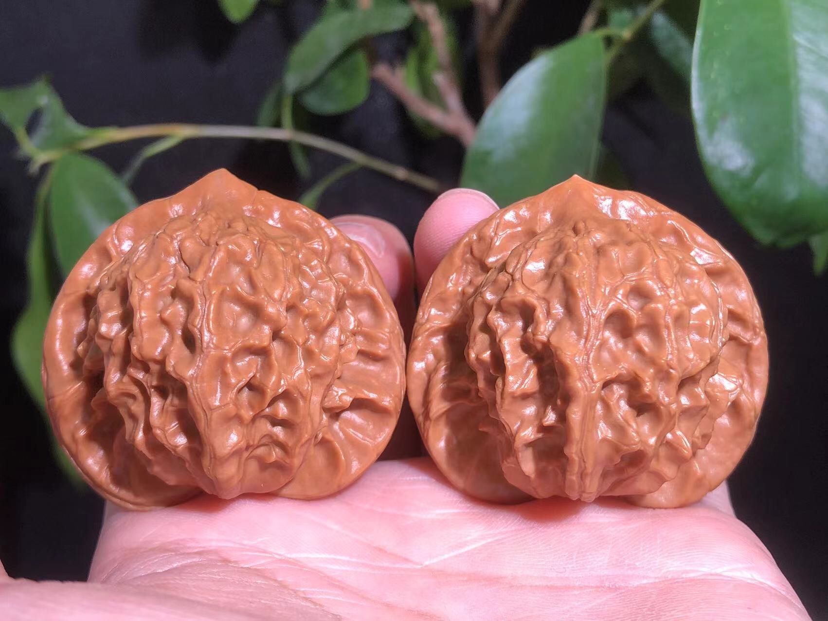 【618大福利】36及以下全品大耳朵图图