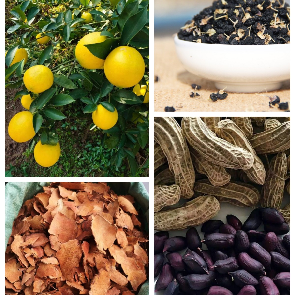 云南土特产链接、非桃胶食用农产品（一物一拍）