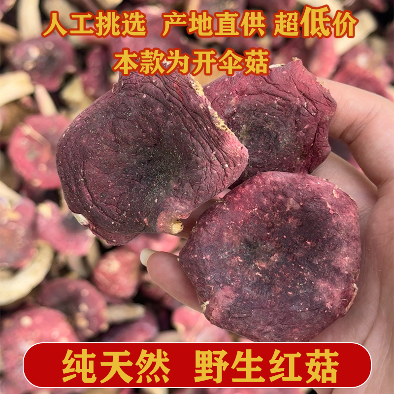 河南野生红菇新货大片开伞菇月子菇煲汤干货菌菇